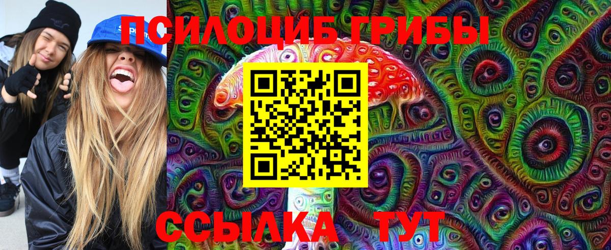 Галлюциногенные грибы Psilocybine cubensis Нягань